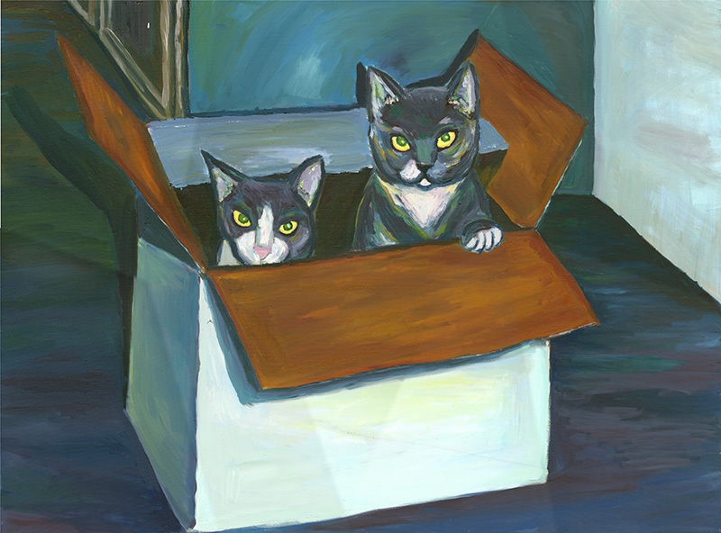 Cats in a box